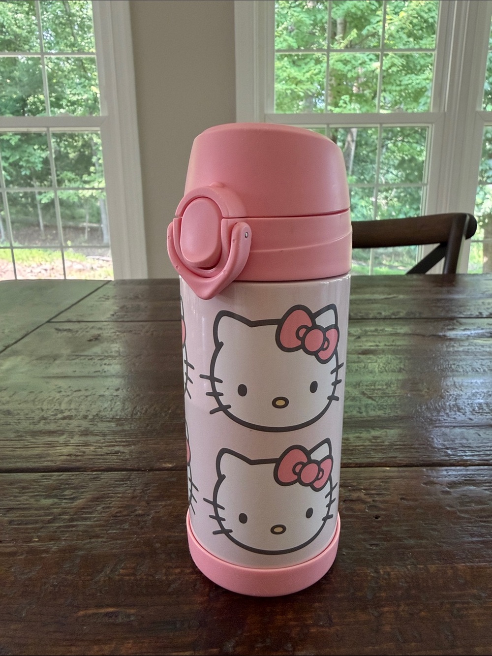 Pottery Barn Kids Pink Hello Kitty Stainless Steel Water Bottle